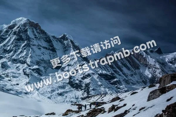 ⊞ Portfolio - 今年世界杯直播