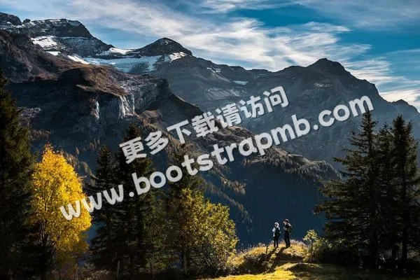 ⊞ Portfolio - 今年世界杯直播